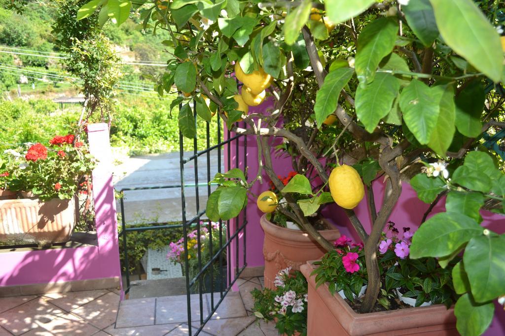 Casa Nobile Bed & Breakfast Tovo San Giacomo Eksteriør bilde